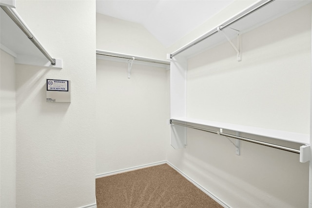 11024 Mint Julep Dr, Austin, TX 78748 - walk in closet featuring carpet floors and vaulted ceiling