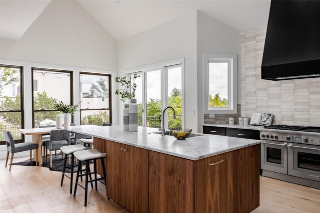 3901 Peak Lookout Dr, Austin, TX 78738 - kitchen with ventilation hood, double oven range, tasteful backsplash, high vaulted ceiling, and light wood finished floors