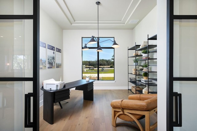 439 Junker Hl, Fredericksburg, TX 78624 - office with a tray ceiling and wood finished floors