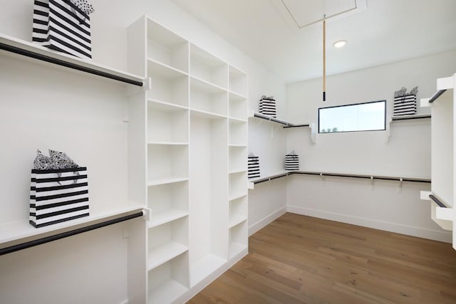 439 Junker Hl, Fredericksburg, TX 78624 - walk in closet with attic access and wood finished floors