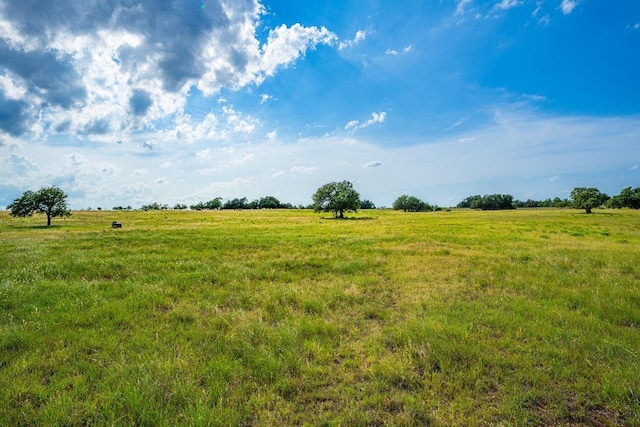 439 Junker Hl, Fredericksburg, TX 78624 - view of local wilderness featuring rural landscape