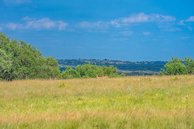 439 Junker Hl, Fredericksburg, TX 78624 - mountain view