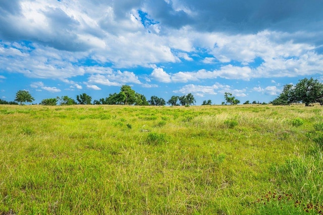 439 Junker Hl, Fredericksburg, TX 78624 - view of undeveloped land featuring rural landscape