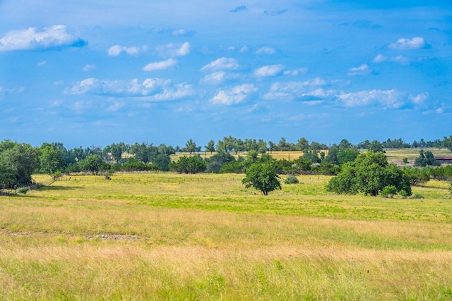 439 Junker Hl, Fredericksburg, TX 78624 - view of local wilderness featuring rural landscape