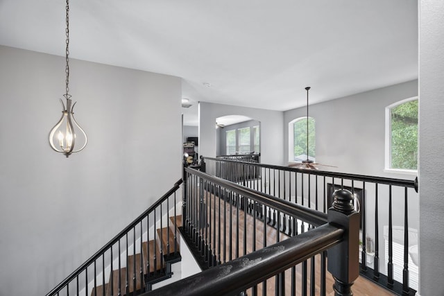 15413 Echo Hills Dr, Austin, TX 78717 - hall with an upstairs landing, wood finished floors, and arched walkways