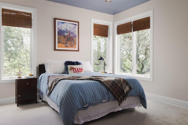 114 Medalist St, Lakeway, TX 78734 - bedroom featuring multiple windows and carpet