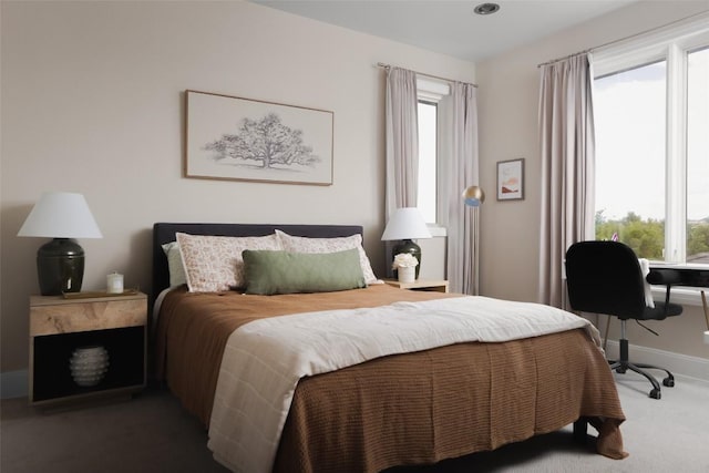 114 Medalist St, Lakeway, TX 78734 - bedroom featuring carpet floors and baseboards