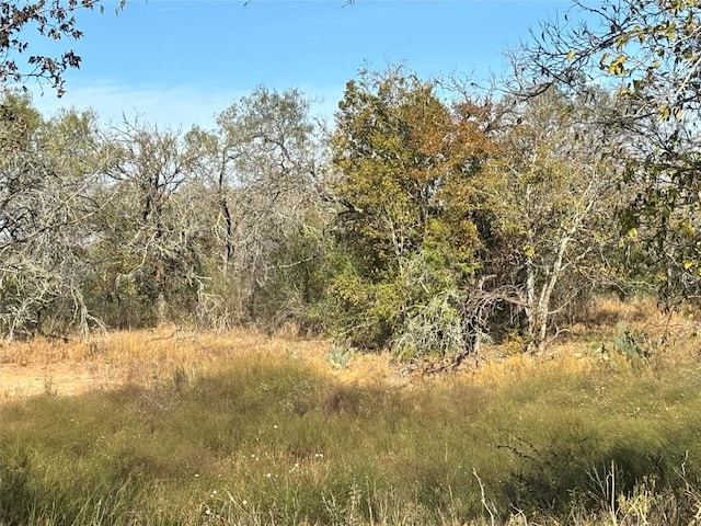 4041 Good Luck Rd, Seguin, TX 78155