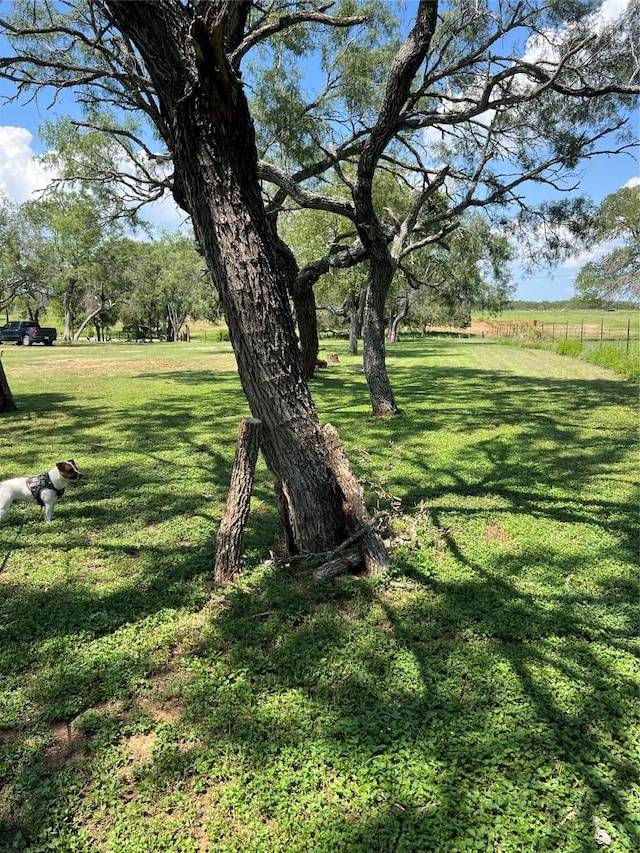 4041 Good Luck Rd, Seguin, TX 78155