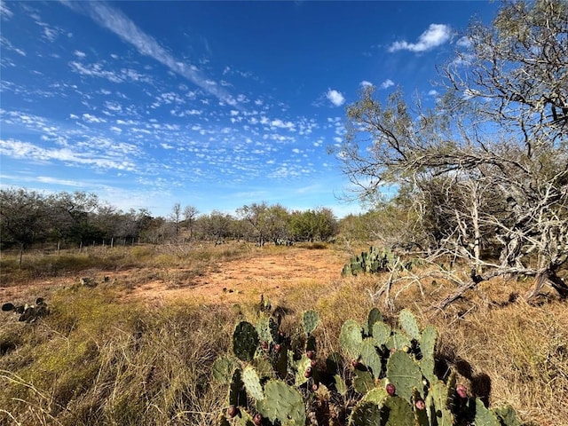 4041 Good Luck Rd, Seguin, TX 78155