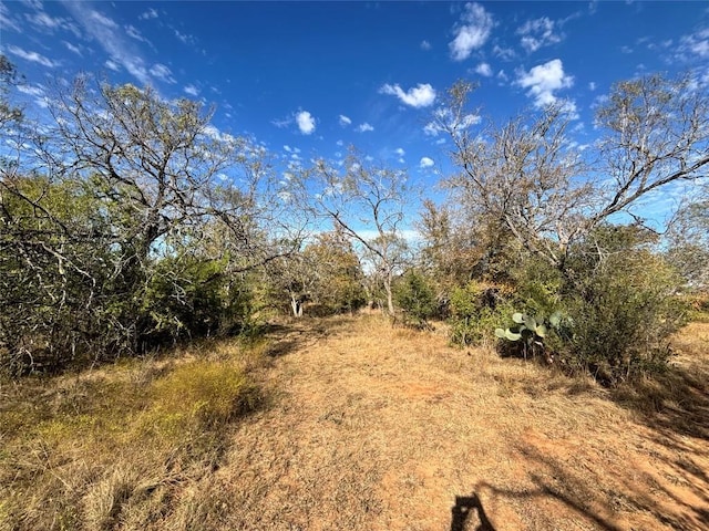 4041 Good Luck Rd, Seguin, TX 78155