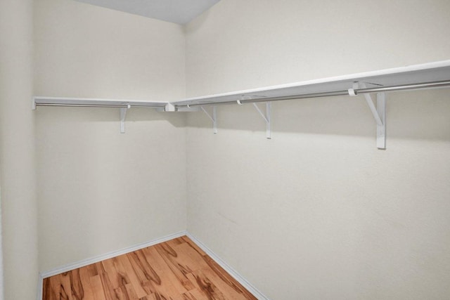 123 Brittany Ln, Bastrop, TX 78602 - walk in closet with light wood-style flooring