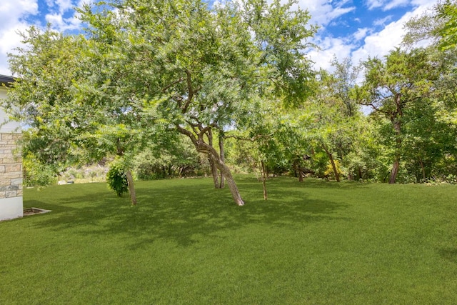 14430 Tuscola Cir, Austin, TX 78734 - view of grassy yard
