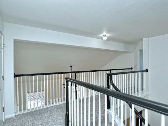 106 S Gadwall Ln, Cedar Park, TX 78613 - hallway with lofted ceiling, carpet, and a textured ceiling