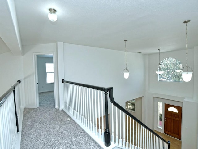 106 S Gadwall Ln, Cedar Park, TX 78613 - hallway featuring an upstairs landing and carpet