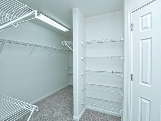 106 S Gadwall Ln, Cedar Park, TX 78613 - spacious closet with carpet flooring