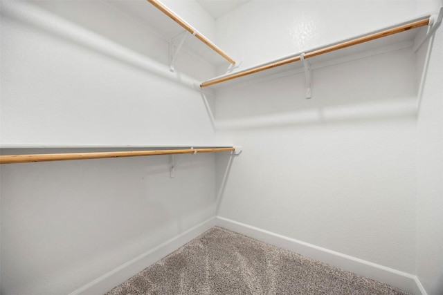 2660 Cowgirl Trl, Belton, TX 76513 - walk in closet with carpet