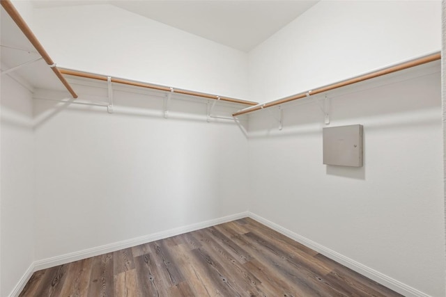 608 Haleys Cv, Leander, TX 78641 - spacious closet with wood finished floors and electric panel