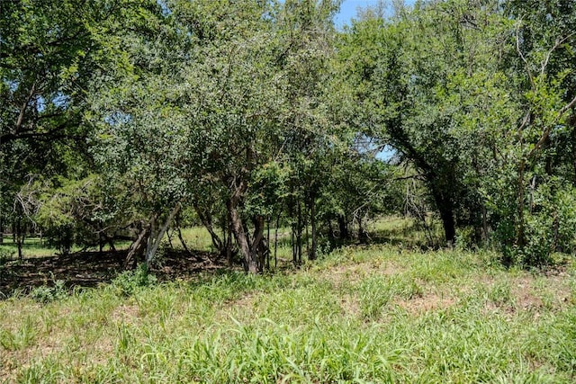 2220 Mc Arthur Ave, Kingsland, TX 78639 - view of local wilderness