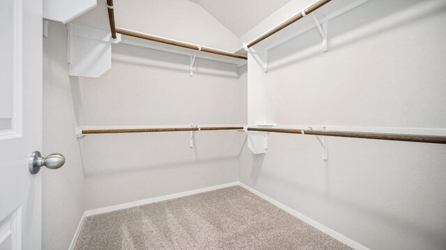 208 Stein Rd, Georgetown, TX 78626 - photo 26