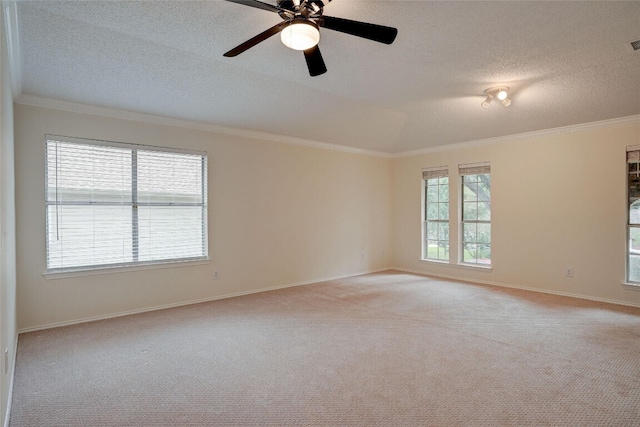 7604 Napier Trl, Austin, TX 78729 - photo 8