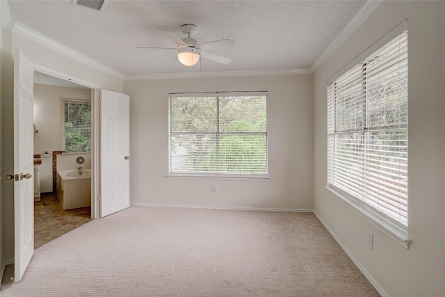 7604 Napier Trl, Austin, TX 78729 - photo 10