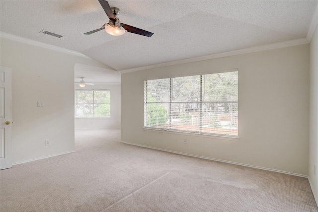 7604 Napier Trl, Austin, TX 78729 - photo 11