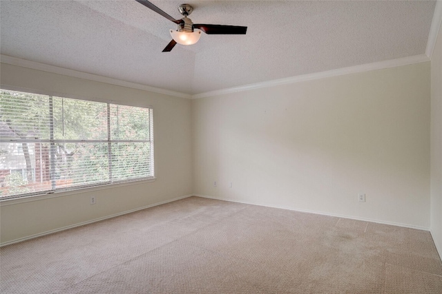 7604 Napier Trl, Austin, TX 78729 - photo 12
