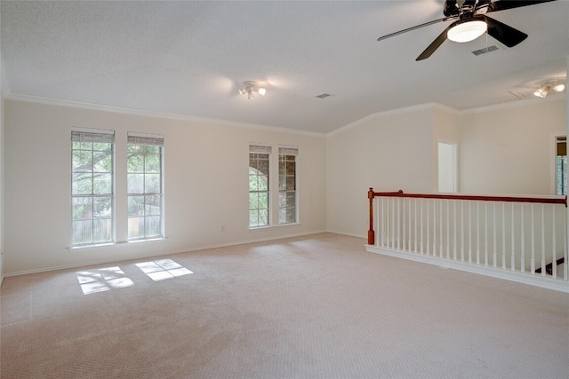 7604 Napier Trl, Austin, TX 78729 - photo 14