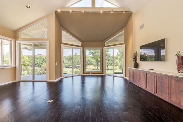 146 Double Eagle Dr, Austin, TX 78738 - unfurnished living room with high vaulted ceiling, dark wood finished floors, and healthy amount of natural light