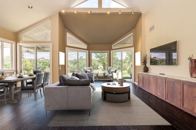 146 Double Eagle Dr, Austin, TX 78738 - living room featuring high vaulted ceiling, dark wood-style floors, and plenty of natural light