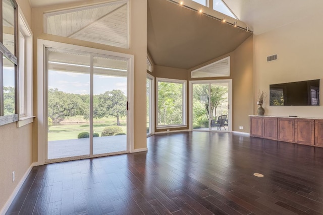 146 Double Eagle Dr, Austin, TX 78738 - unfurnished living room featuring plenty of natural light, high vaulted ceiling, and dark wood-style floors