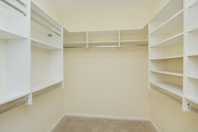 101 Bass St, Georgetown, TX 78633 - walk in closet with light colored carpet