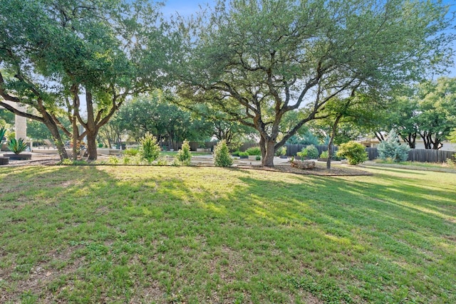 101 Rocky Ledge Cv, Georgetown, TX 78633 - photo 19