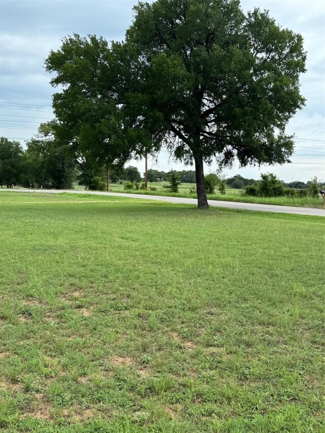 291 Reids Bnd, Bastrop, TX 78602 - view of green lawn