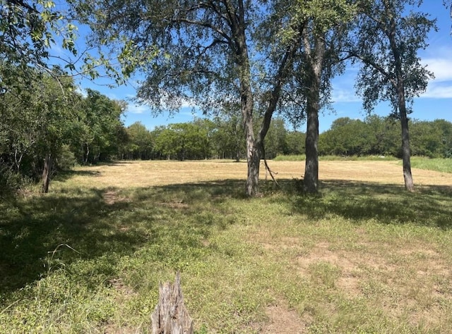 291 Reids Bnd, Bastrop, TX 78602 - view of yard