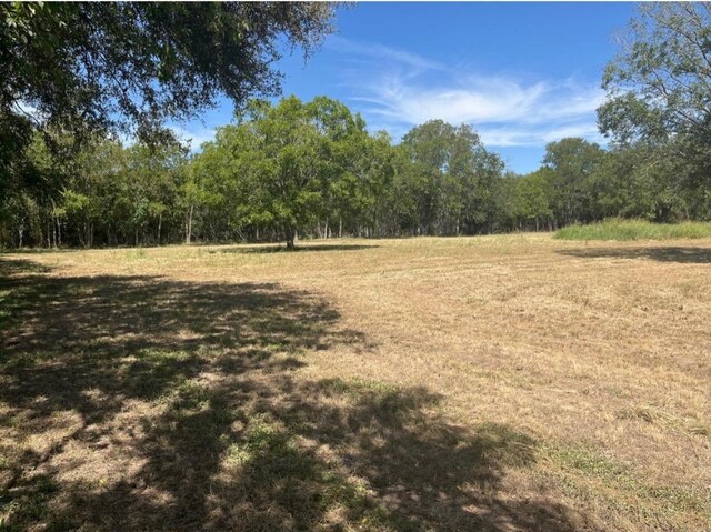 291 Reids Bnd, Bastrop, TX 78602 - view of green lawn with a view of trees