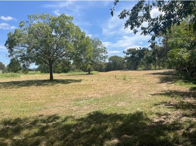 291 Reids Bnd, Bastrop, TX 78602 - view of grassy yard