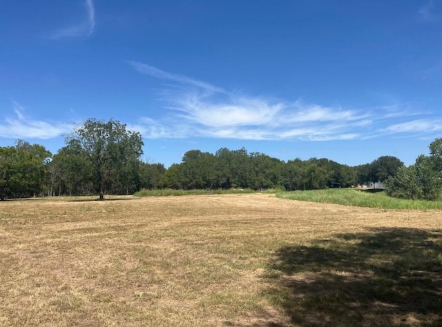 291 Reids Bnd, Bastrop, TX 78602 - view of tree filled area featuring a rural view