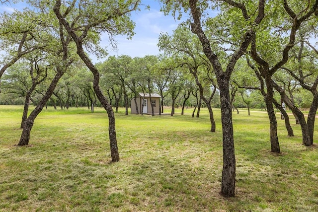 1241 Sandy Oaks Ranch Rd, Johnson City, TX 78636 - photo 35
