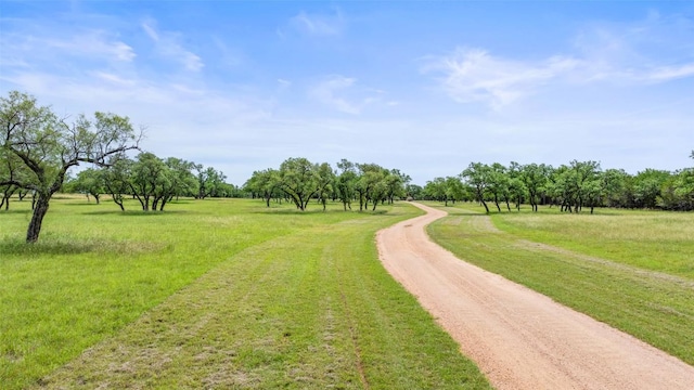 1241 Sandy Oaks Ranch Rd, Johnson City, TX 78636 - photo 4