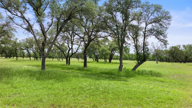 1241 Sandy Oaks Ranch Rd, Johnson City, TX 78636 - photo 13