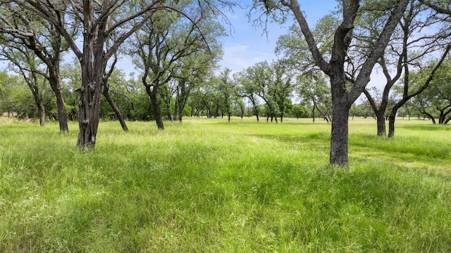 1241 Sandy Oaks Ranch Rd, Johnson City, TX 78636 - photo 19