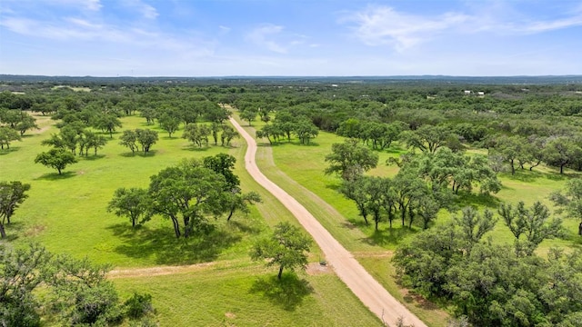 1241 Sandy Oaks Ranch Rd, Johnson City, TX 78636 - photo 7