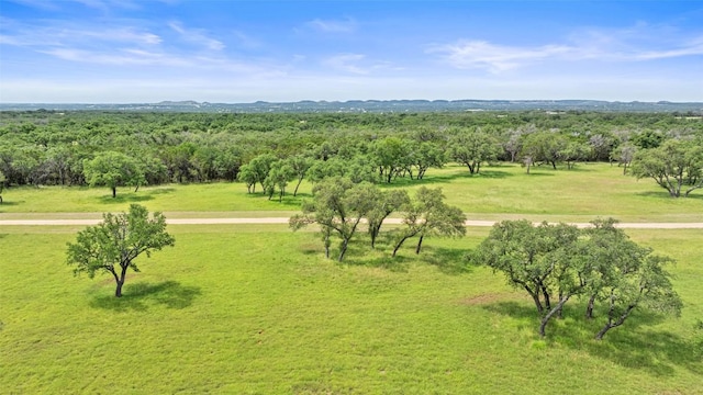 1241 Sandy Oaks Ranch Rd, Johnson City, TX 78636 - photo 10