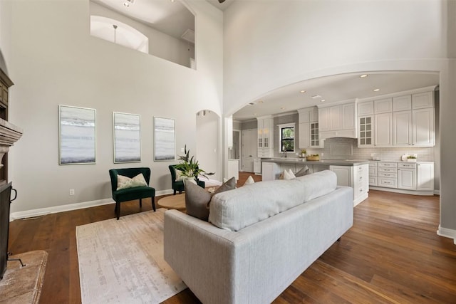 27 Autumn Oaks Dr, The Hills, TX 78738 - living area featuring dark wood-type flooring, arched walkways, and a towering ceiling