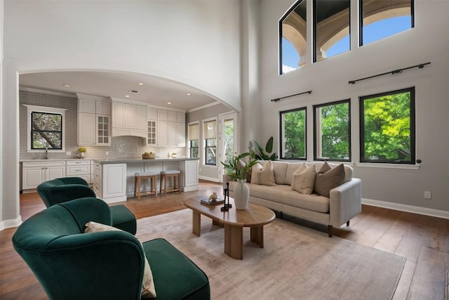 27 Autumn Oaks Dr, The Hills, TX 78738 - living room featuring arched walkways, plenty of natural light, light wood-style floors, a high ceiling, and recessed lighting