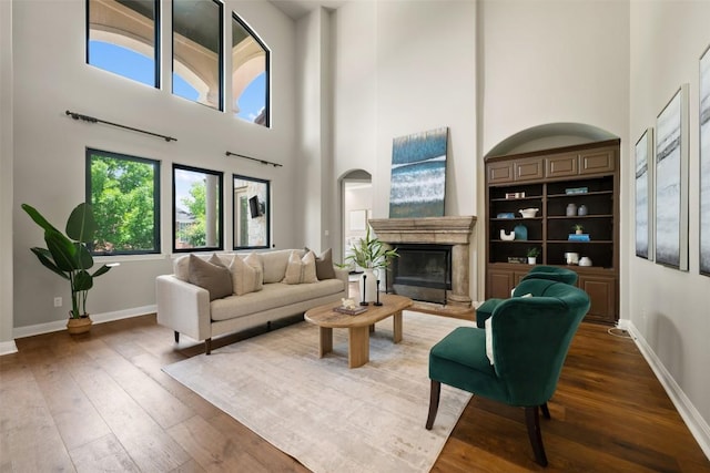27 Autumn Oaks Dr, The Hills, TX 78738 - living room with a high ceiling, wood-type flooring, and a high end fireplace