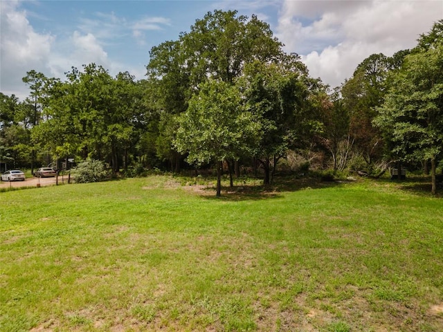 204 Matthew Cv, Bastrop, TX 78602 - photo 5