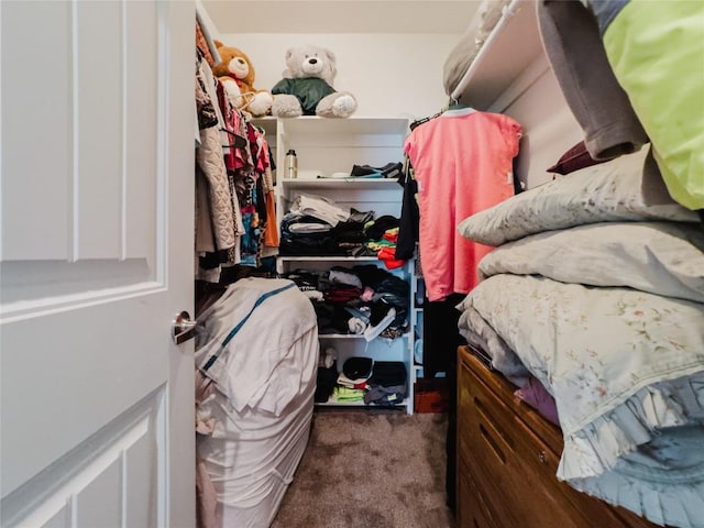 204 Matthew Cv, Bastrop, TX 78602 - walk in closet with carpet floors